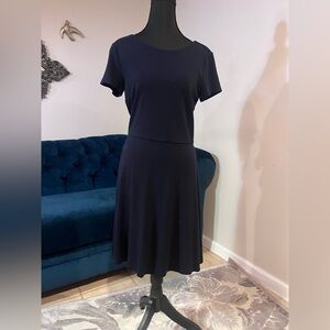 LOFT Classic Navy Blue Fit and Flare Dress with a Tie Back